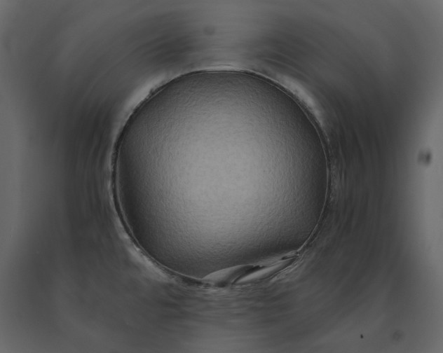 X0000091081480200708271226