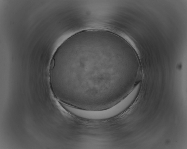 X0000091081485200708271226