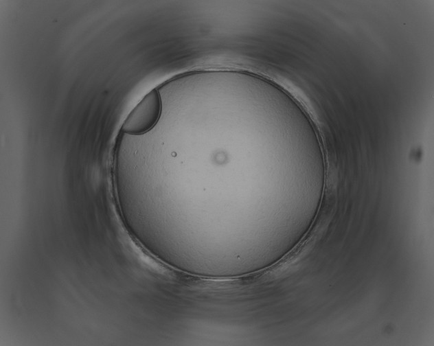 X0000091081486200708271226