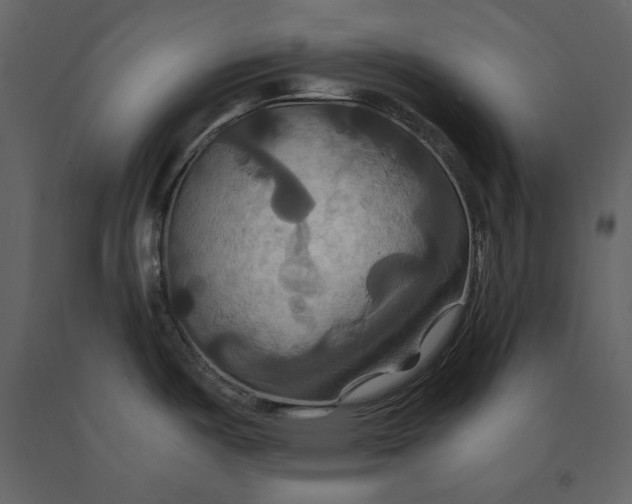 X0000091081487200708271226