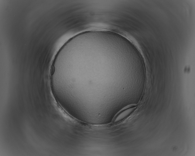 X0000091081488200708271226