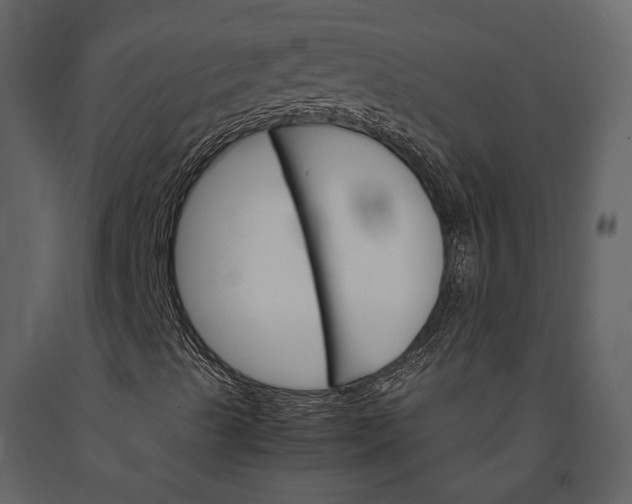 X0000091081489200708271225