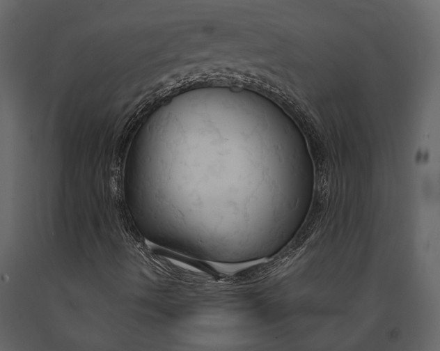 X0000091081490200708271225