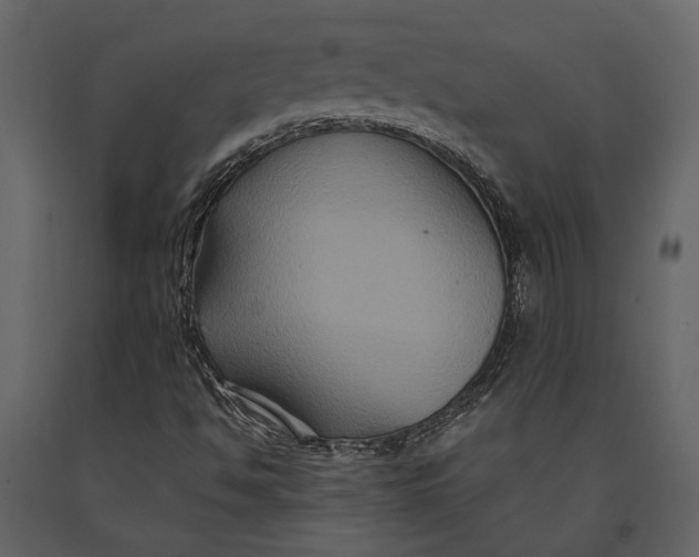 X0000091081494200708271225