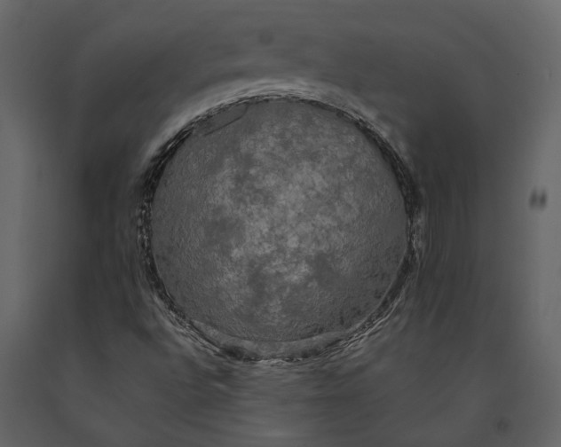 X0000091081496200708271225