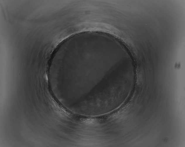 X0000091081497200708271225