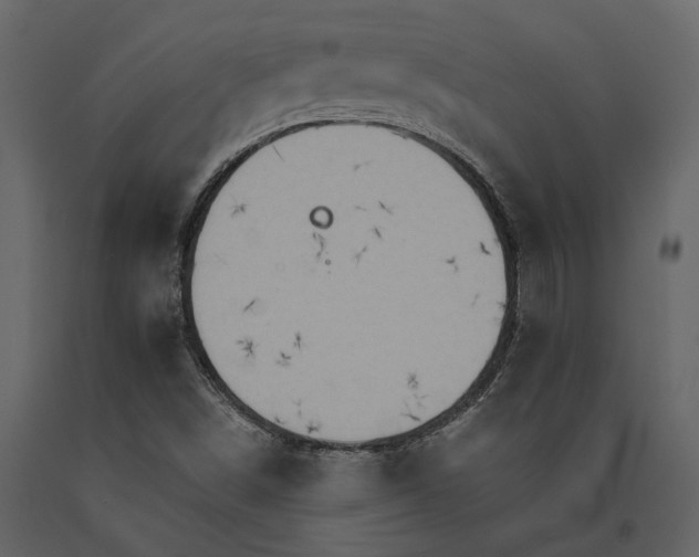 X0000091081498200708271225