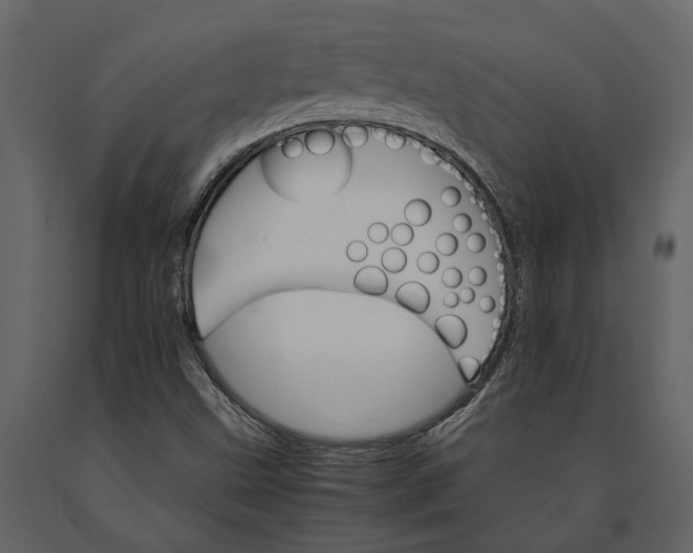 X0000091081499200708271225