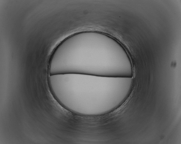 X0000091081500200708271225