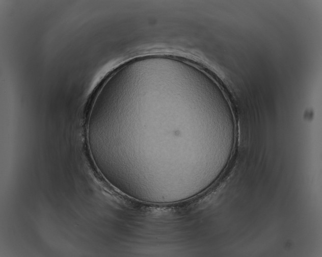 X0000091081501200708271225