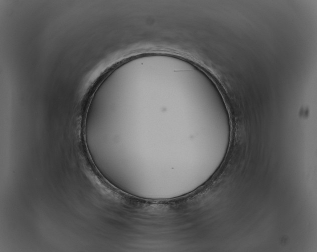 X0000091081503200708271225