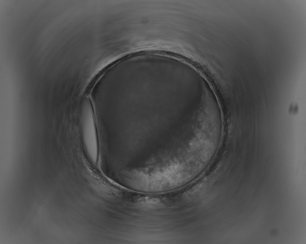 X0000091081505200708271225