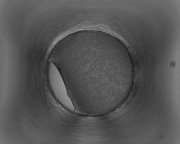 X0000091081506200708271225