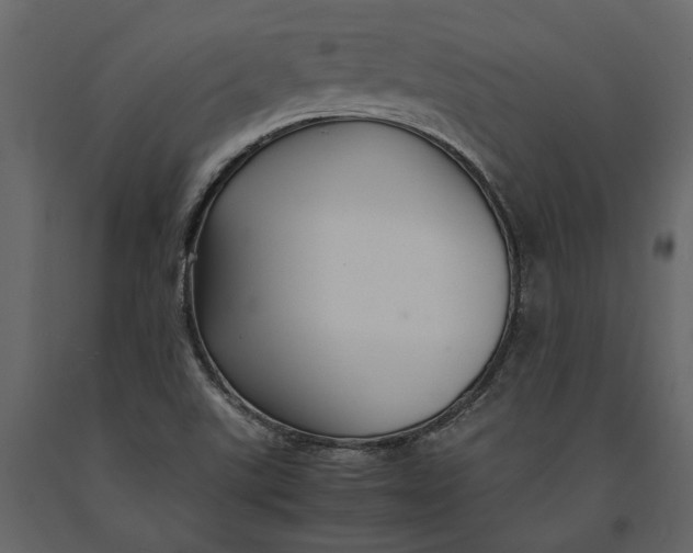 X0000091081507200708271225