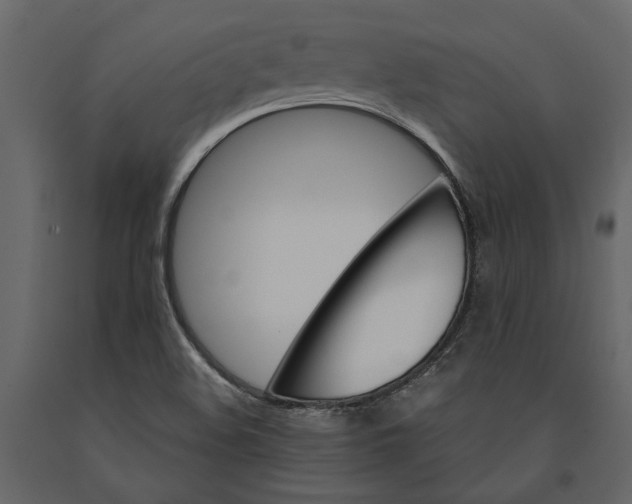 X0000091081508200708271225