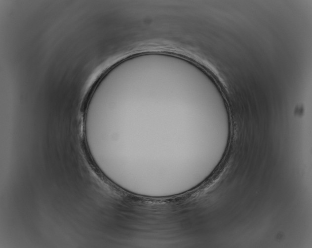 X0000091081509200708271225