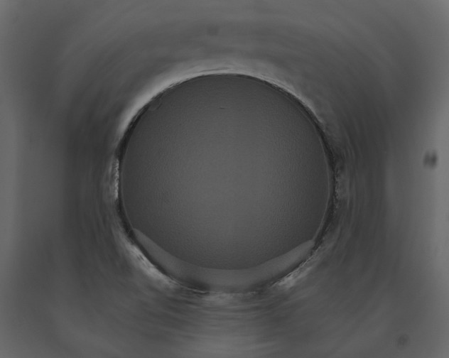 X0000091081510200708271225