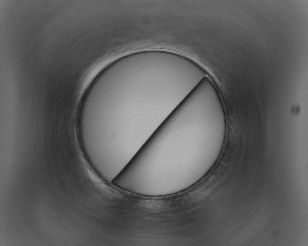 X0000091081511200708271225