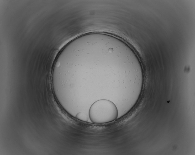 X0000091081513200708271225