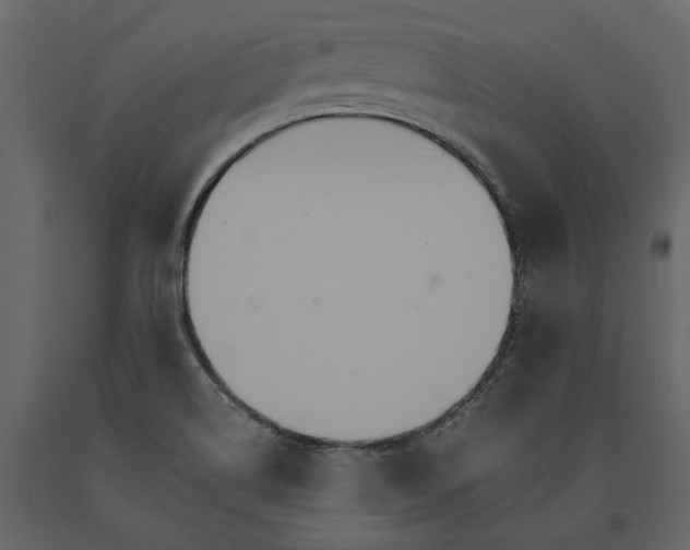 X0000091081514200708271225