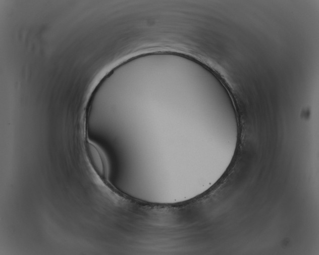 X0000091081516200708271226