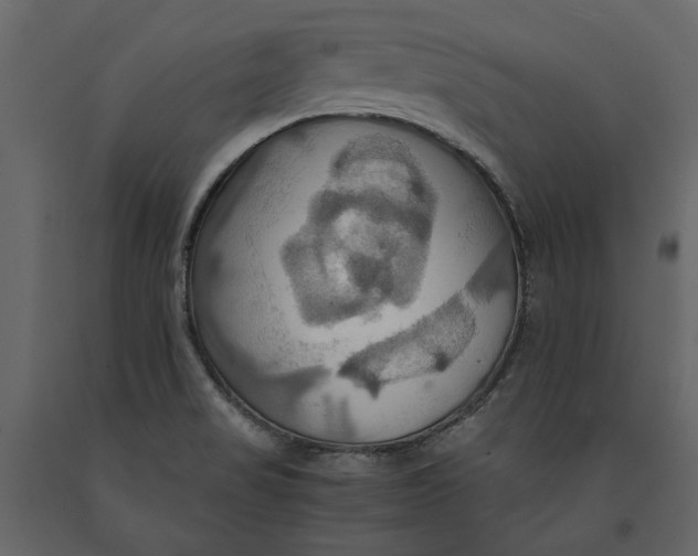 X0000091081517200708271226