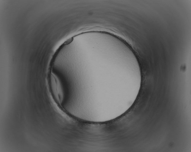 X0000091081518200708271226