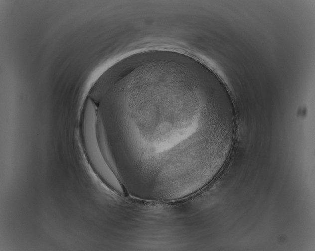 X0000091081520200708271226