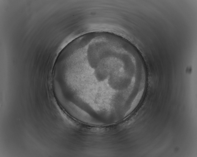 X0000091081521200708271226