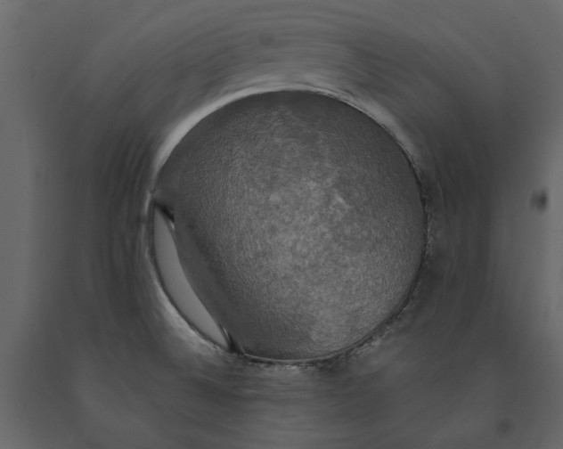 X0000091081524200708271226