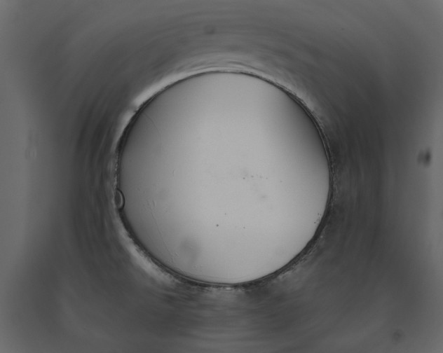 X0000091081526200708271226