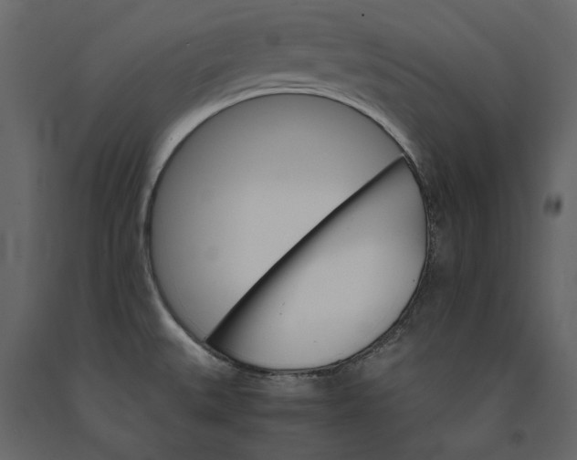 X0000091081527200708271226