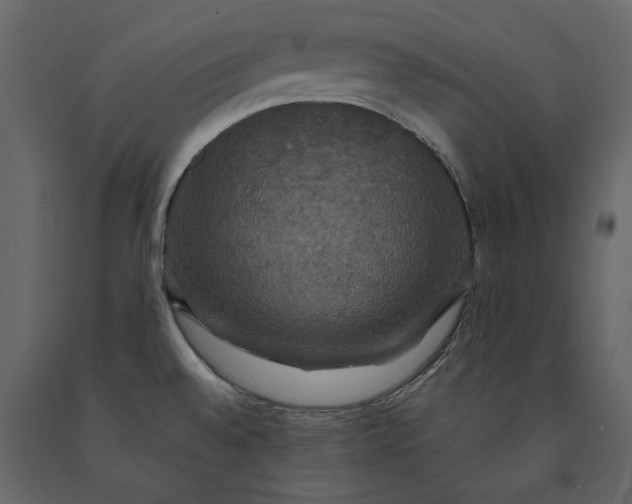 X0000091081528200708271226