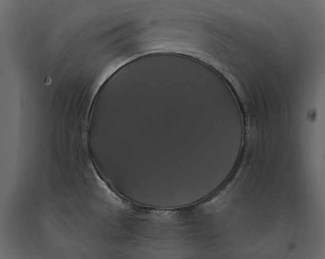 X0000091081529200708271226