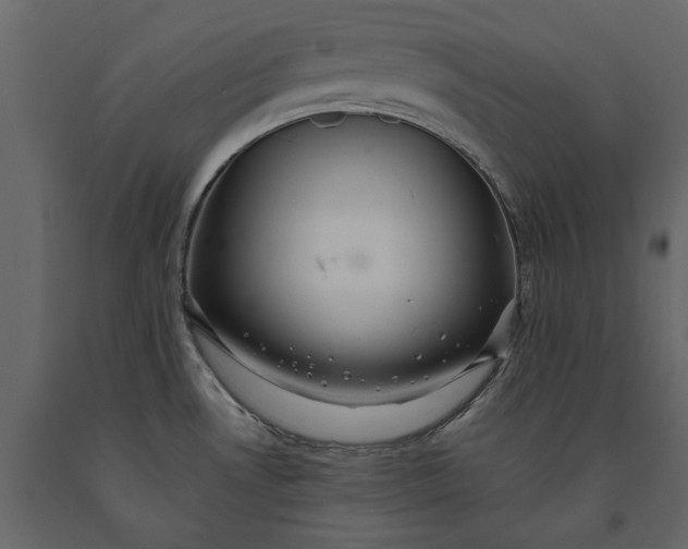 X0000091081530200708271226