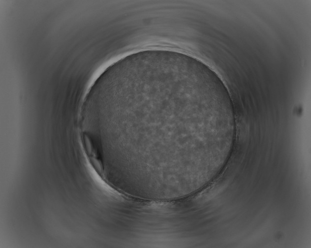 X0000091081531200708271226