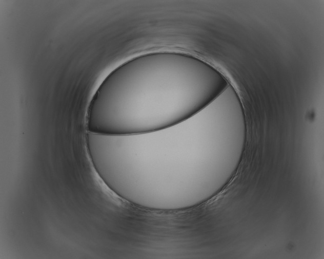 X0000091081532200708271226