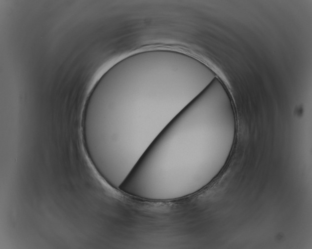 X0000091081533200708271226