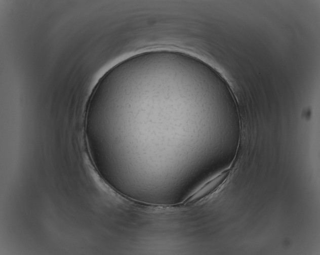 X0000091081534200708271226