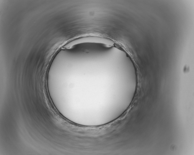 X0000091080001200709041251