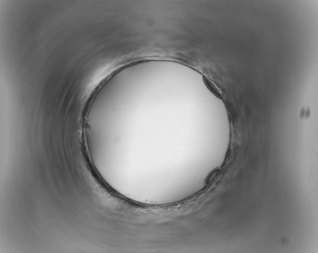 X0000091080005200709041251