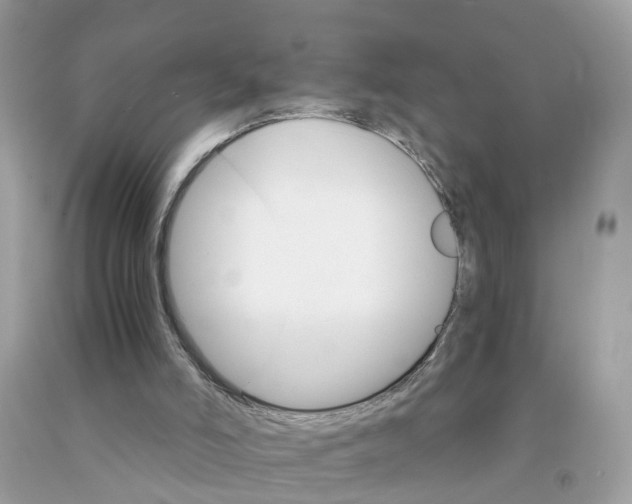 X0000091080006200709041251