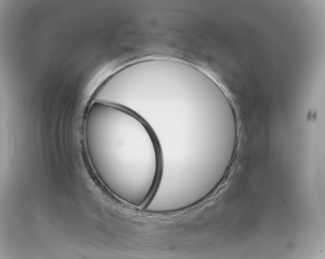 X0000091080007200709041251