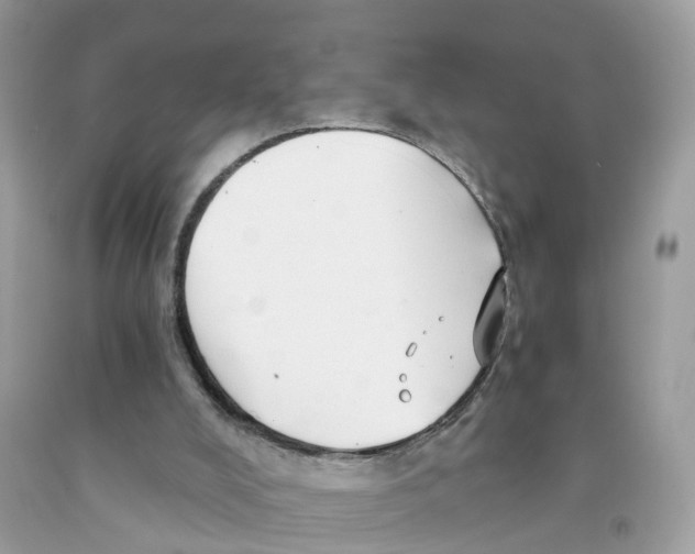 X0000091080008200709041251