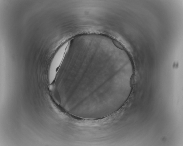 X0000091080009200709041251