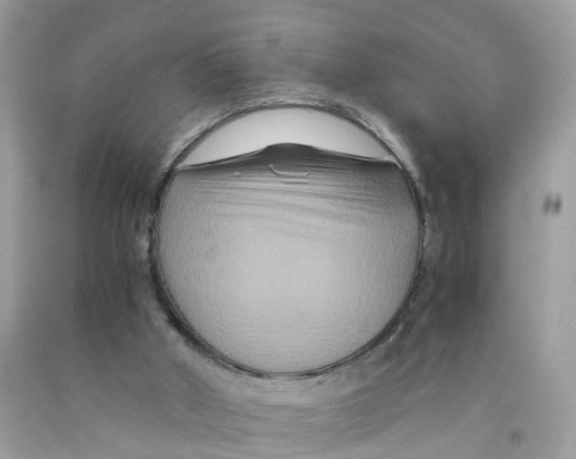 X0000091080010200709041251