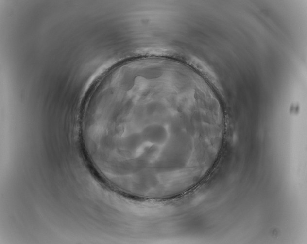 X0000091080012200709041250