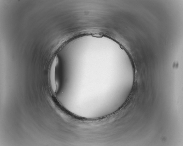 X0000091080013200709041250