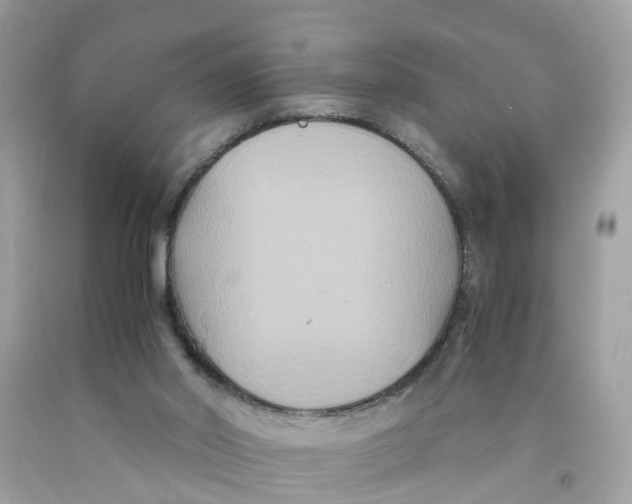 X0000091080014200709041250