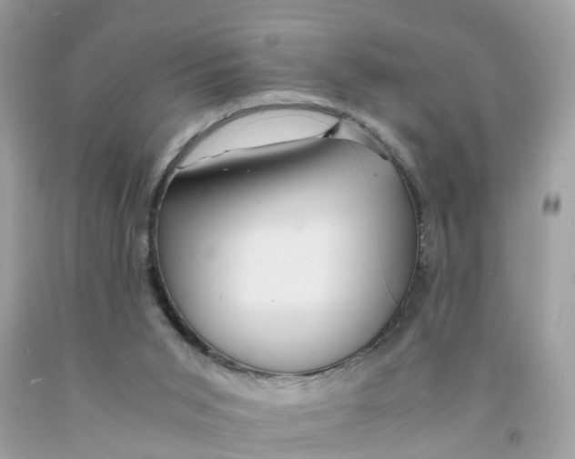 X0000091080015200709041250